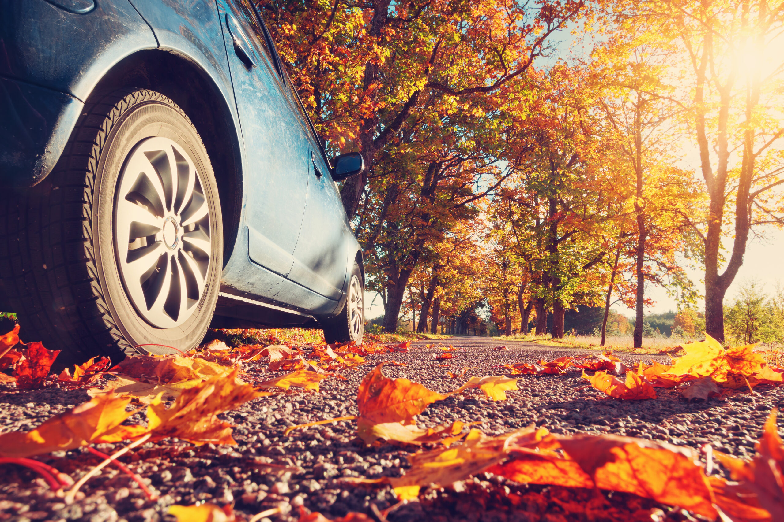 Driving Safely into Autumn