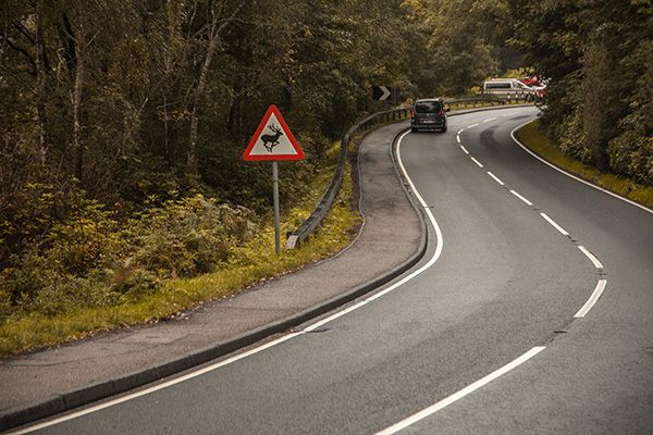 uk road in autumn